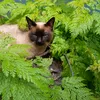 flavia.herbst