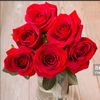 khalid.usman537