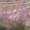 أميره 