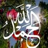 user4097334930419