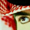 user8116366630667