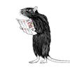 adequatelysizedrat