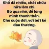 diemtranhong8