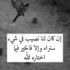 user90540222563073