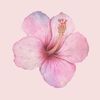 beautycanfindinyourself0