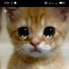 chitthukaunglay32
