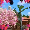 kimngoc_co.ltd