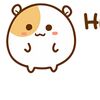 yyyyiok1