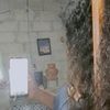 sofis3669