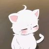 natsutsumii