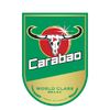 Carabao Tawandang Beverage
