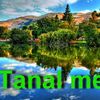 tanal.med2020
