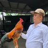 hiengacuchi59