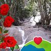 user8462871297242