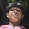 dimpuy271