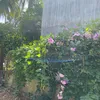 kim.tuyen.nguyen4