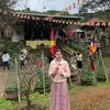 phng.nguyn1184