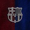 viscabarca