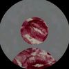 user019480046