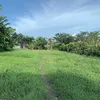 chaien136