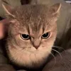 phuws_isme