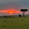 wangui.mwai