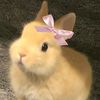 ranianafisa2
