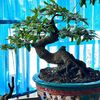 hoangdv.tn