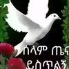 user7373144012610