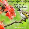 ayemoekhing9