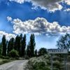 taner4559
