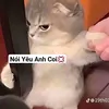 25_tiktok_khoankoj