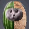 kevinkevin_kevinkevin