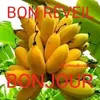 fevrier.martine