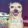 gus.2821