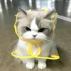 onheadonly