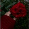 user9721816111905