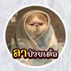 xnamx.xnamx