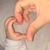 cely.033