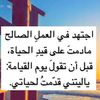 user5686842197781