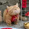 djj_jj127