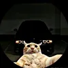 paulinhoplinplin999
