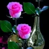 user35421613302172