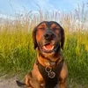 miodie2waldfee