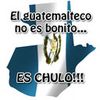 manuelshol2