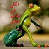user7956221263848