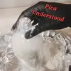 picaunderstood