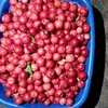 valdenicia.rosa.r