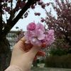 _adzkia0