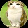 amoa_meowl03